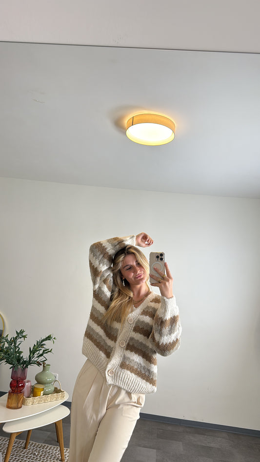 Striped Cardigan