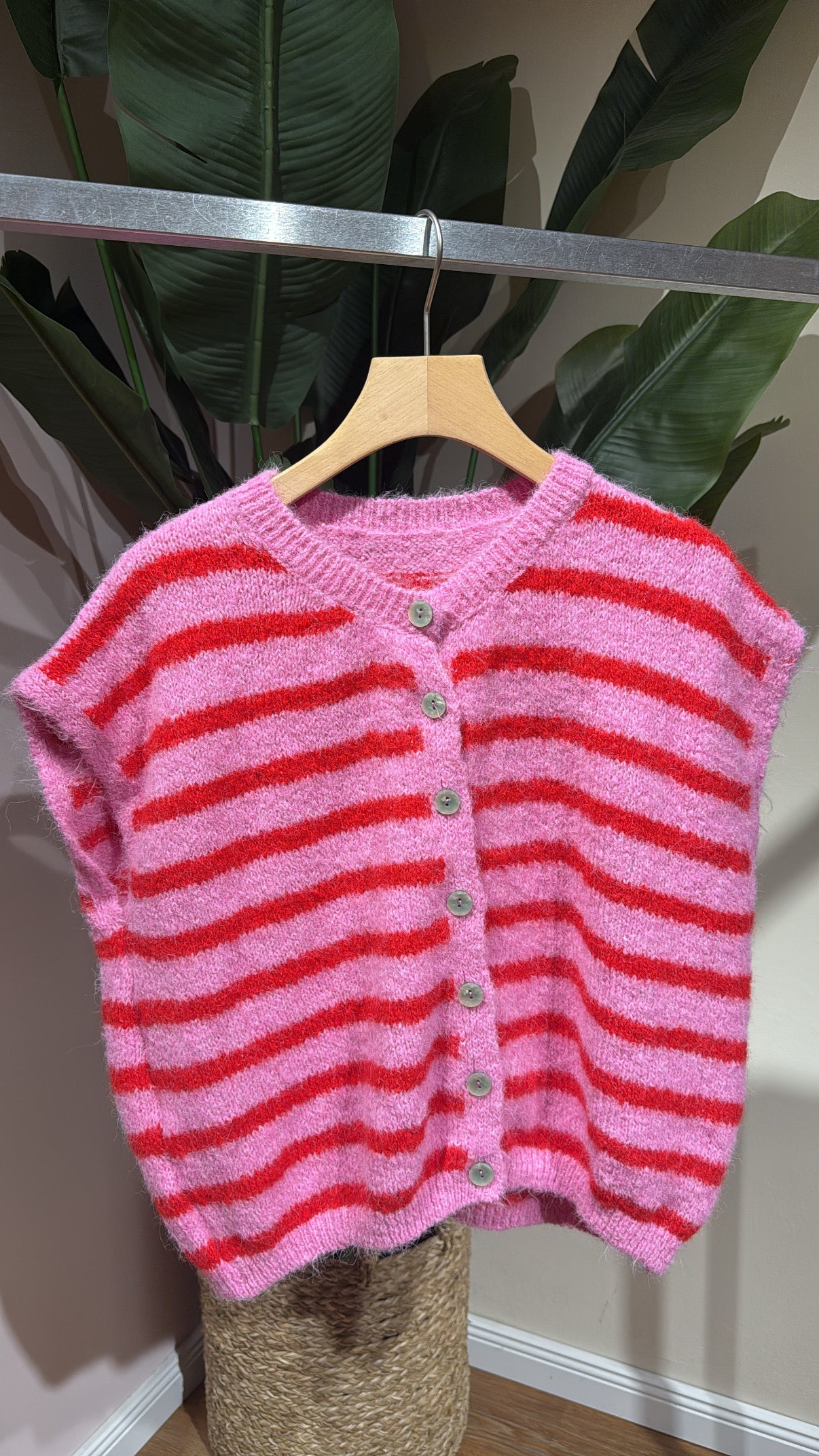 STRIPED WESTE PINK ROT